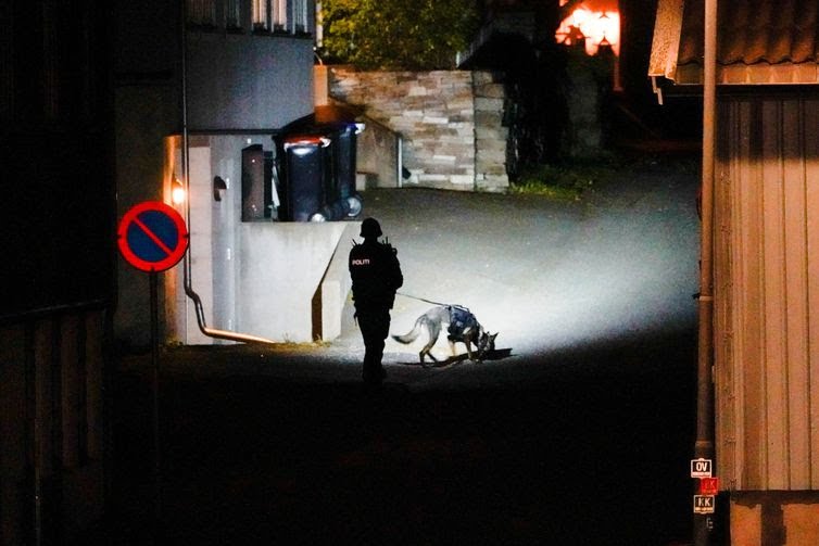Policial anda com cão farejador em ambiente aberto e escuro. “Pelas informações que temos, essa pessoa executou essas ações sozinha