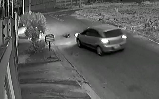 Câmeras de segurança, registraram o momento em que um motorista joga o carro em cima de um cachorro.