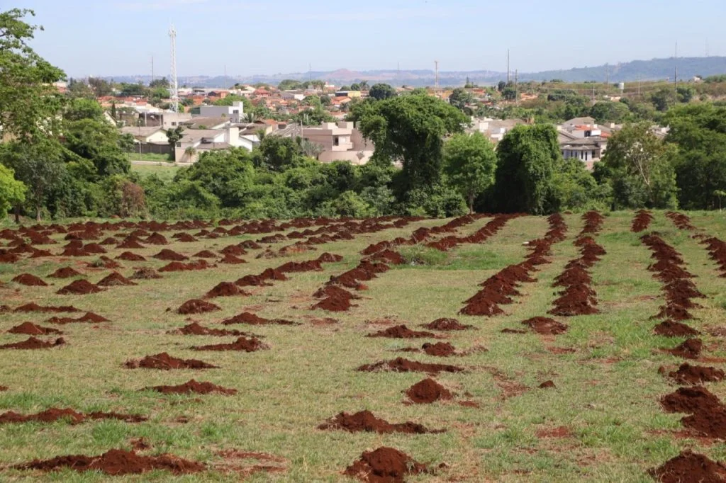 O ArborizaGyn acontecerá na próxima sexta-feira (19) em três parques da Capital.