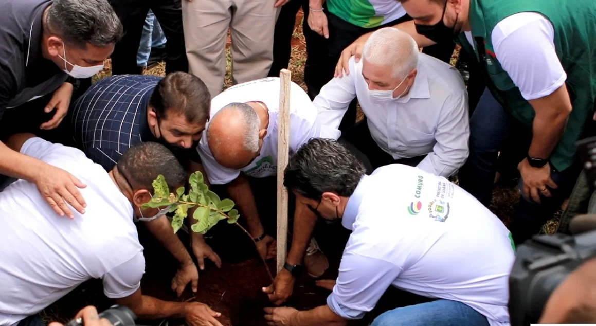 Nesta manhã (19), 50 mil mudas de árvore foram plantadas em três parques da capital.