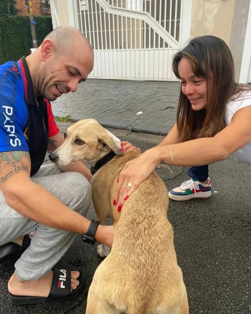 Pandora, cachorra é encontrada após 45 dias desaparecida, em São Paulo