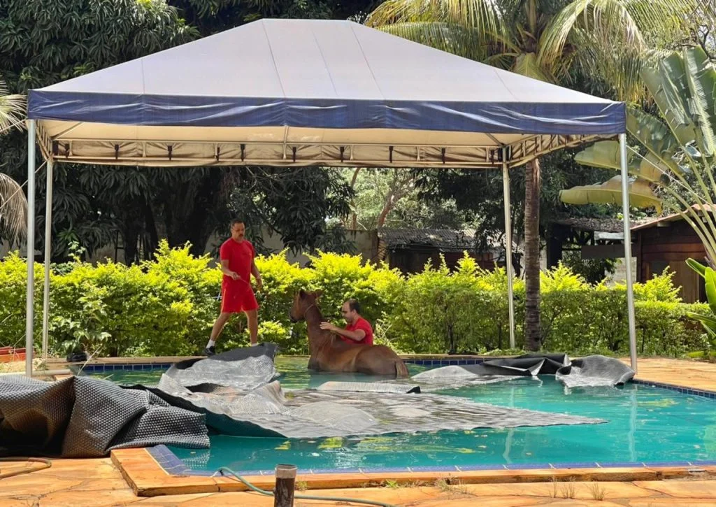 Equipe do Corpo de Bombeiros foram acionados para resgatar a égua.