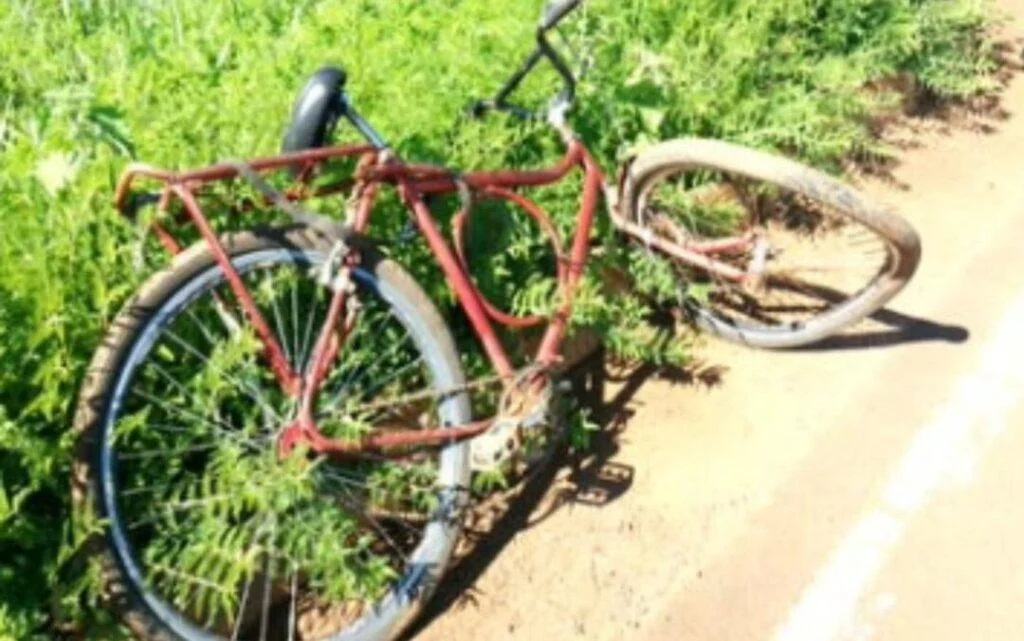 A criança estava andando na rodovia com uma bicicleta quando foi atropelada por um carro. Ele não resistiu e morreu no local