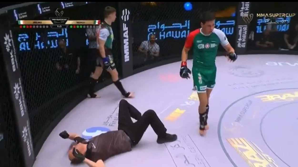 lutador de MMA golpeia árbitro