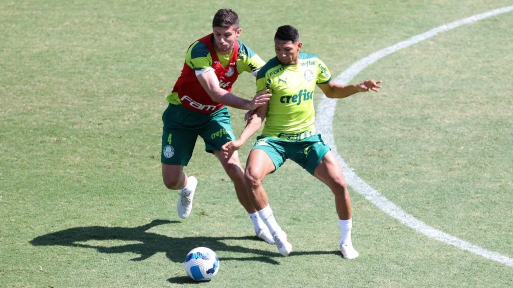 Palmeiras Libertadores treino