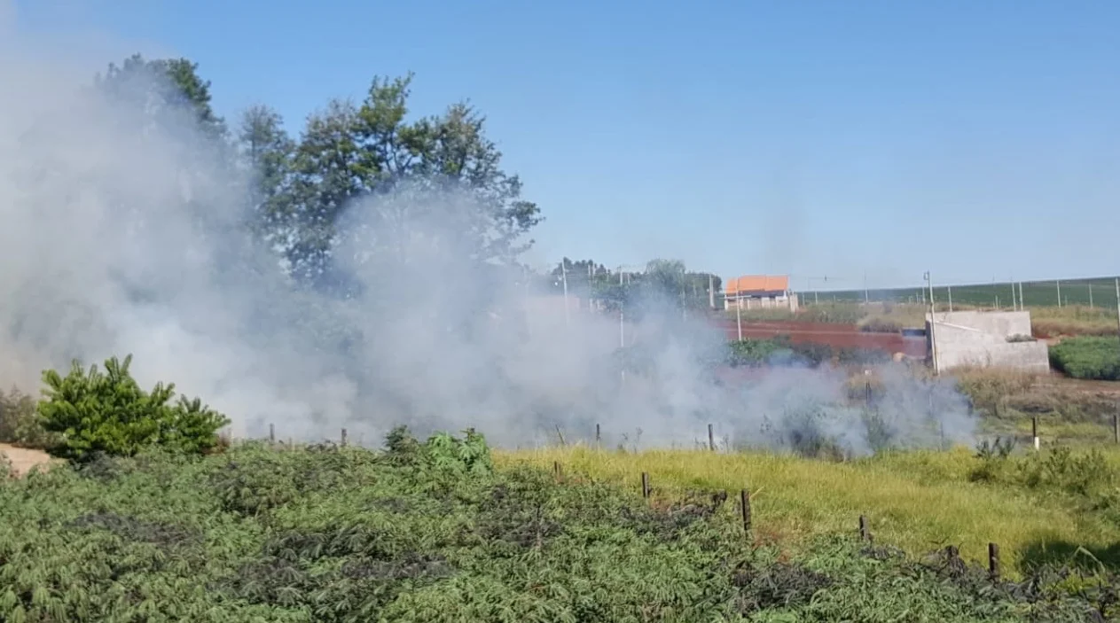 Saiba valor da multa para quem coloca fogo em lote baldio e até como denunciar