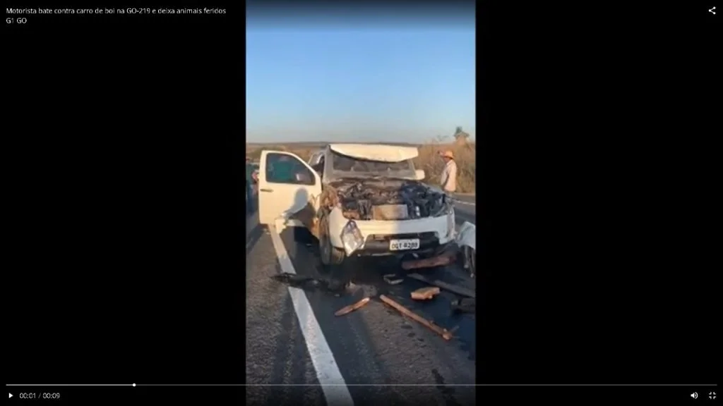 motorista carro de boi Trindade