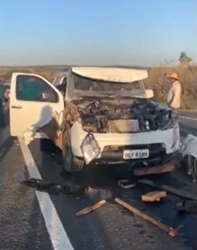 motorista carro de boi Trindade