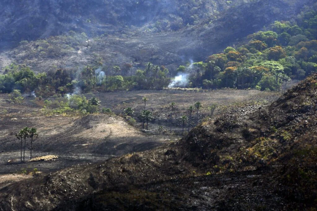 Em 20 anos, área de desmatamento em Goiás chega a 43 vezes o território da capital