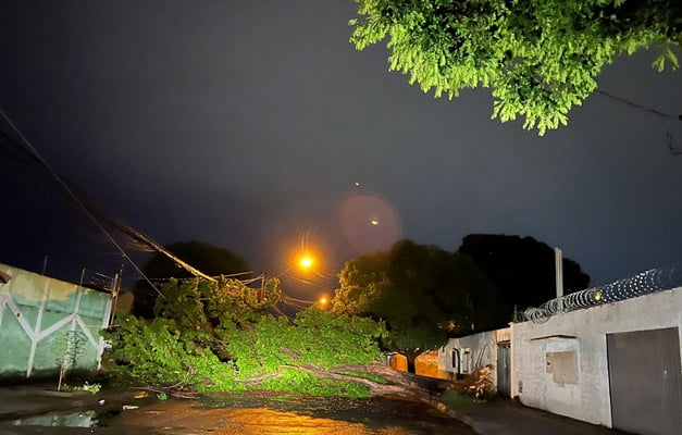 Fortes chuvas em Goiânia causa estragos e adia eventos do governo