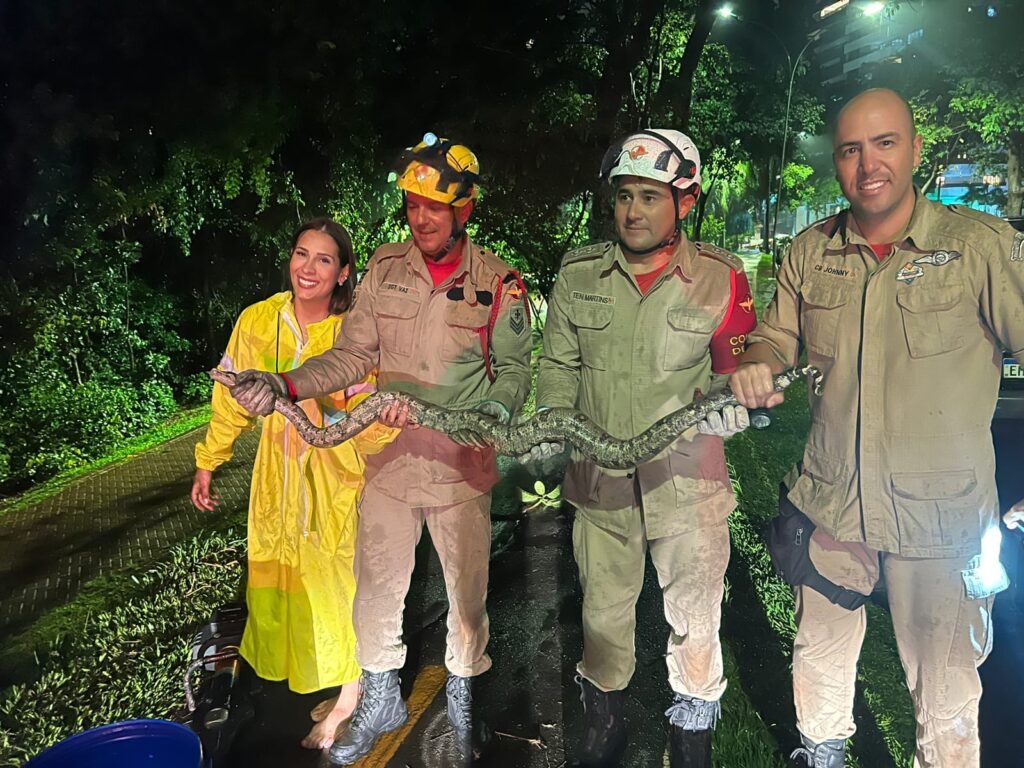 Amma resgata jiboia encontrada no Parque Flamboyant
