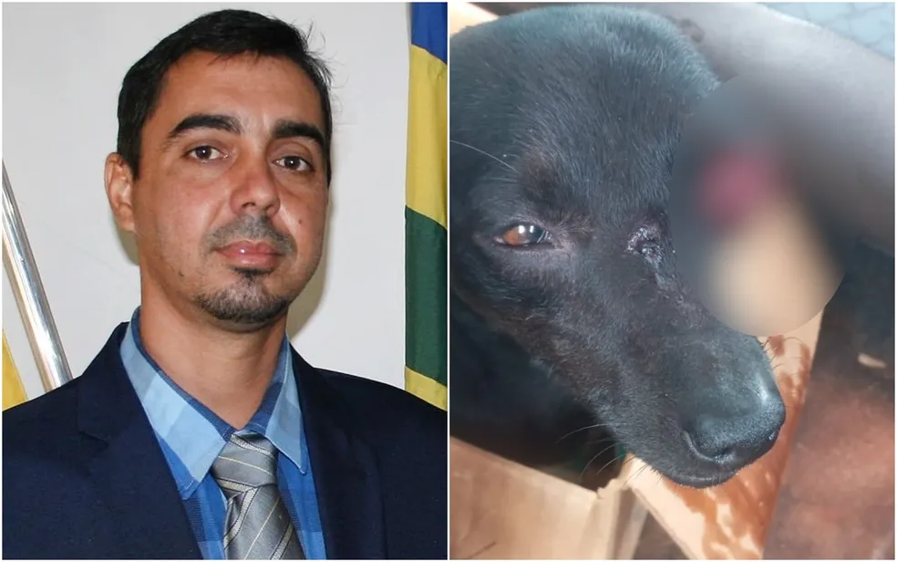 Suspeito de atirar em cachorro e cegá-lo de um olho, vereador é preso em Itajá