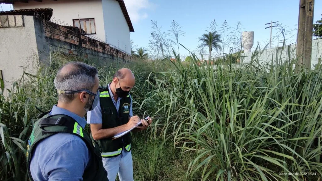 Agência Municipal do Meio Ambiente autuou, nos últimos 12 meses, 18.254 imóveis por mato alto e entulho descartado de forma irregular na capital: multa para quem não realiza limpeza é de R$ 1 mil