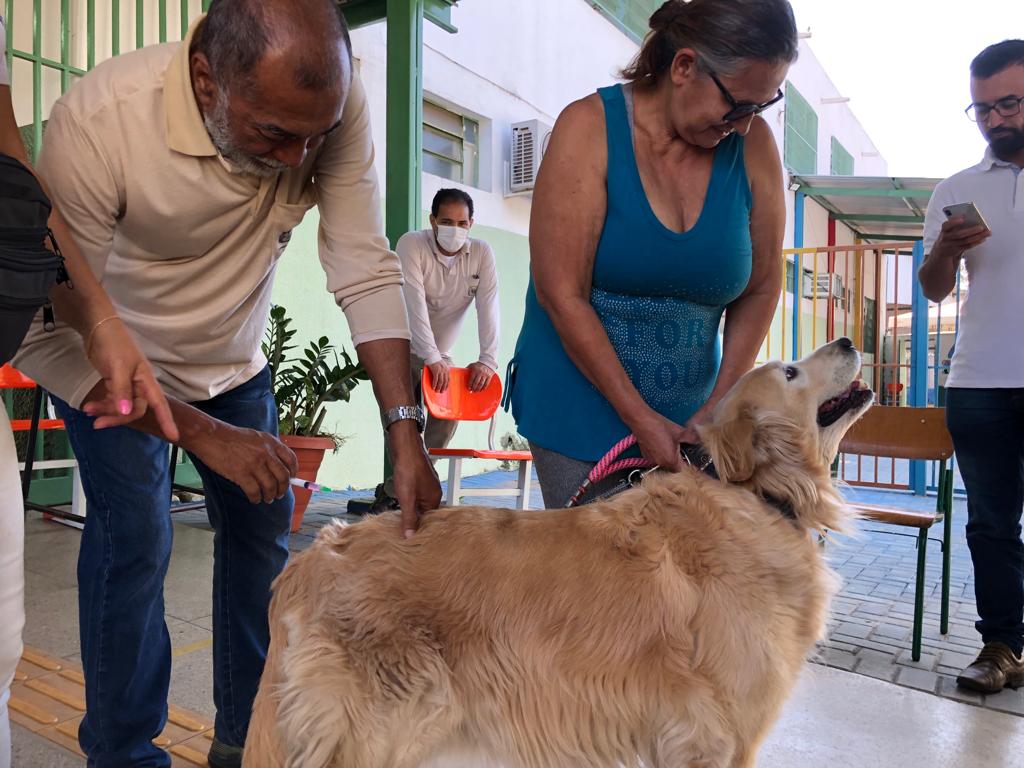 Prefeitura de Goiânia disponibiliza três postos de vacinação antirrábica para animais