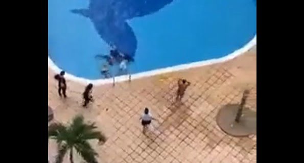 Duas crianças e dois adultos são eletrocutados em piscina na Colômbia