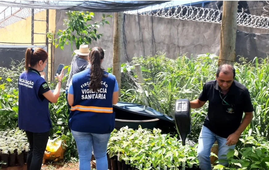 Profissionais do Governo de Goiás fazem vistoria em viveiro de plantas buscando criadouros do Aedes agypti, durante força-tarefa no município de Palmeiras de Goiás