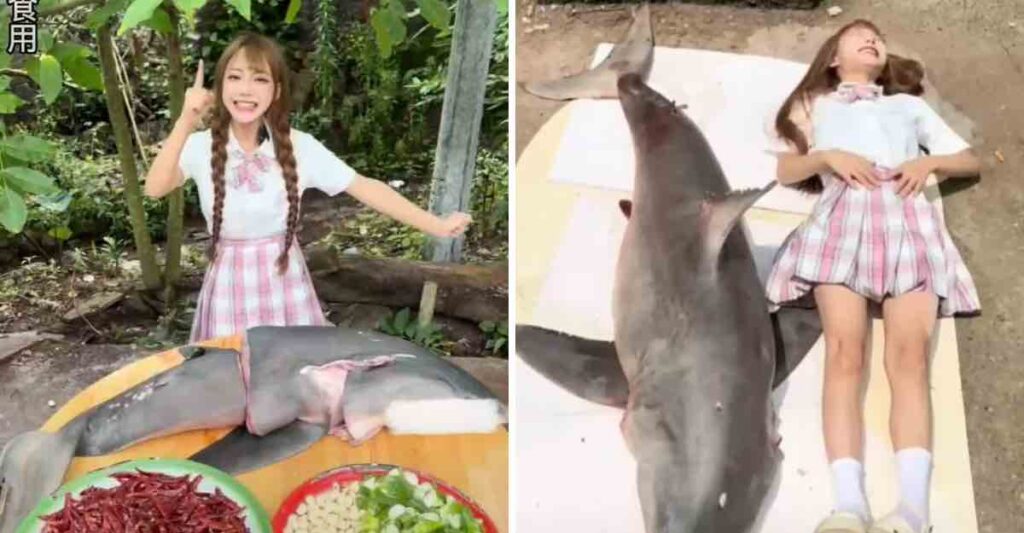 Chinesa é multada em R$ 94 mil após comprar e comer tubarão-branco