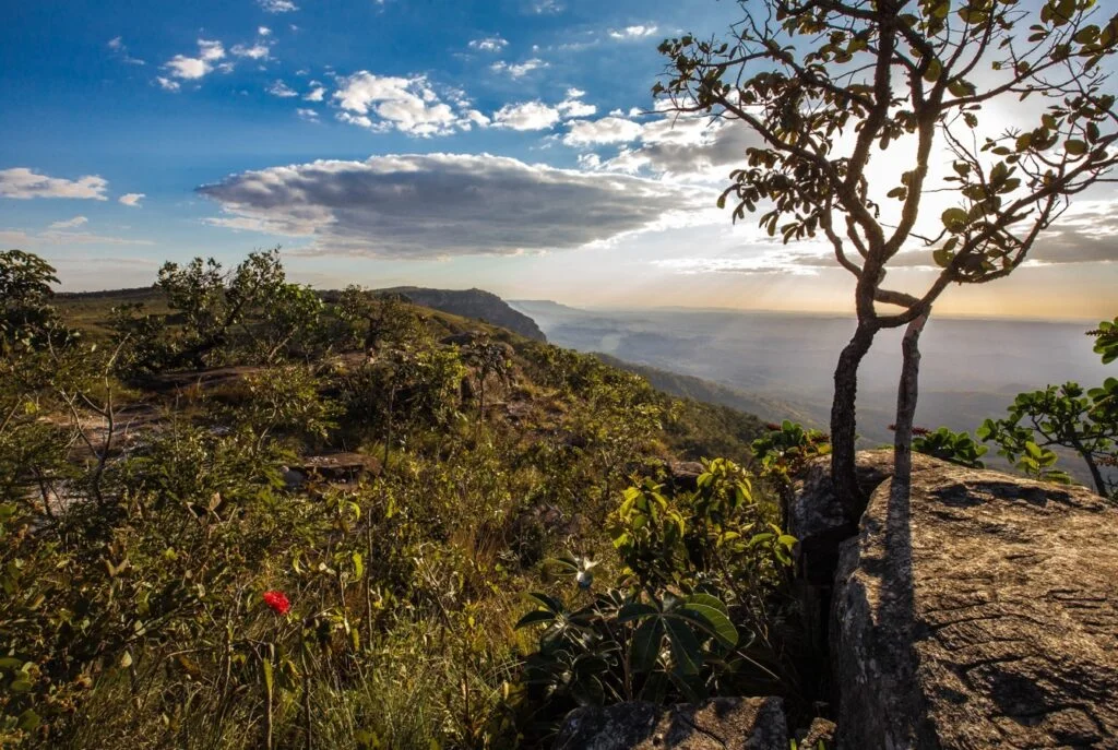 Governo amplia prazo para municípios entregarem ICMS Ecológico