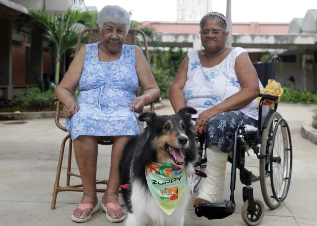 Idosos do Sagrada Família participam de terapia com cães: carinho que tem reflexos positivos na saúde física e mental (Fotos: Thomas Toledo)