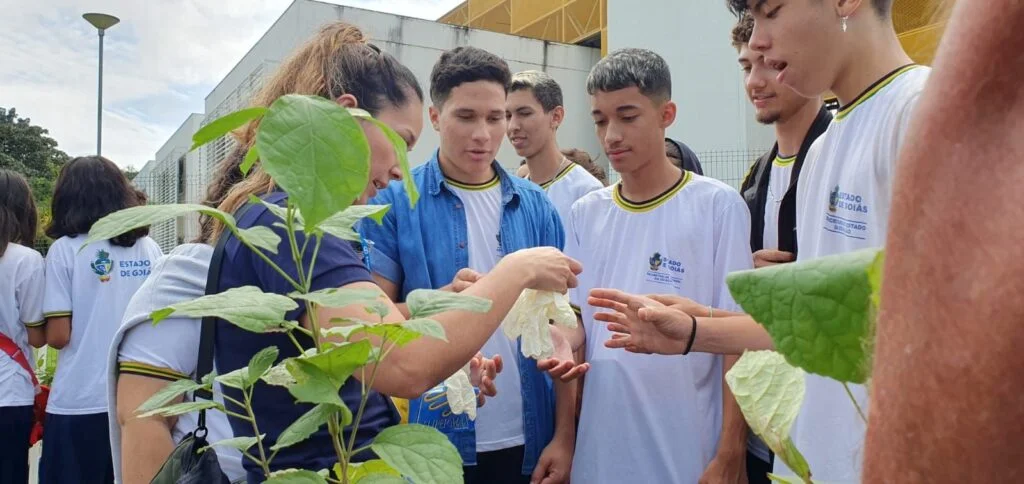 Alunos da rede pública de Goiás em ação educativa