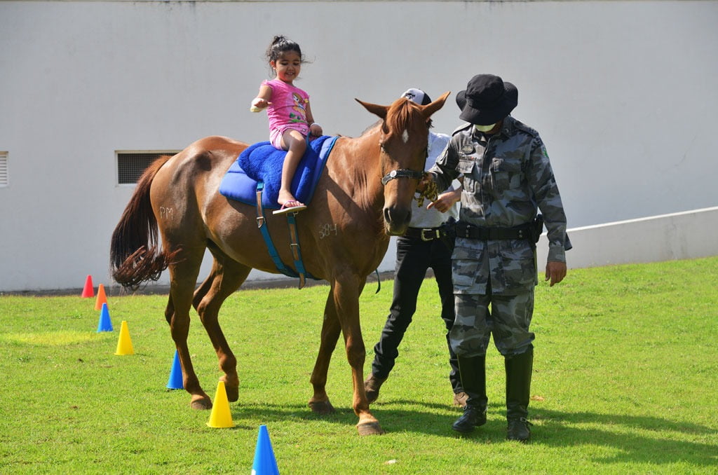 As crianças brincam com os cavalos e, quando sentem vontade, montam e aproveitam a andadura deles para movimentar o corpo