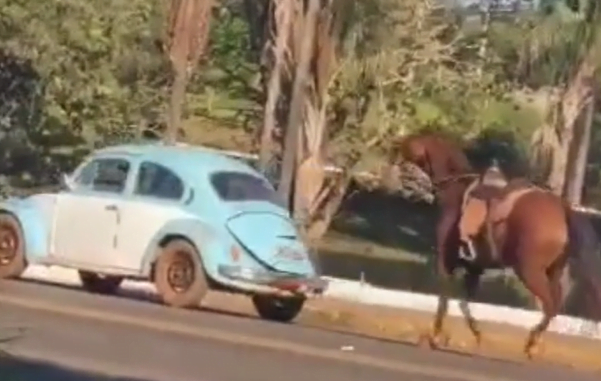Motorista de fusca é preso após arrastar cavalo por 10 km, em Piracanjuba