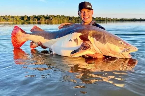 Goiano quebra recorde mundial ao pescar peixe com mais de 70 quilos