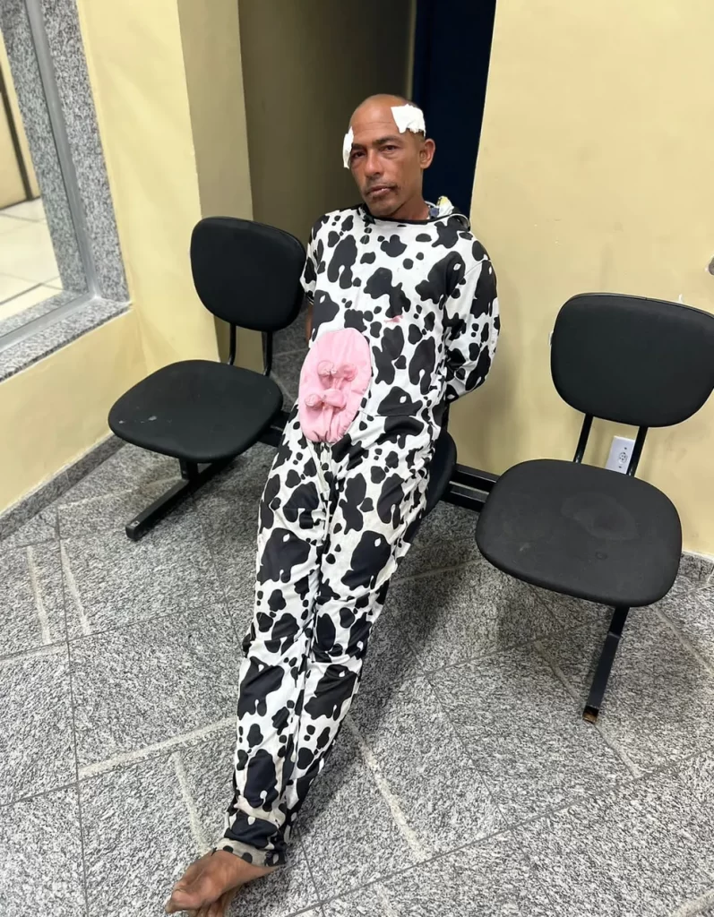 Homem é preso ao tentar assaltar jovem fantasiado de vaca em Copacabana