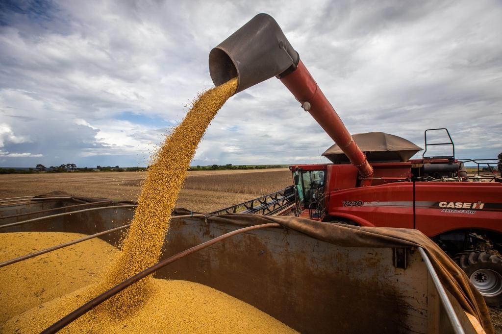 Goiás é o terceiro estado com maior produção de grãos no Brasil, segundo IBGE