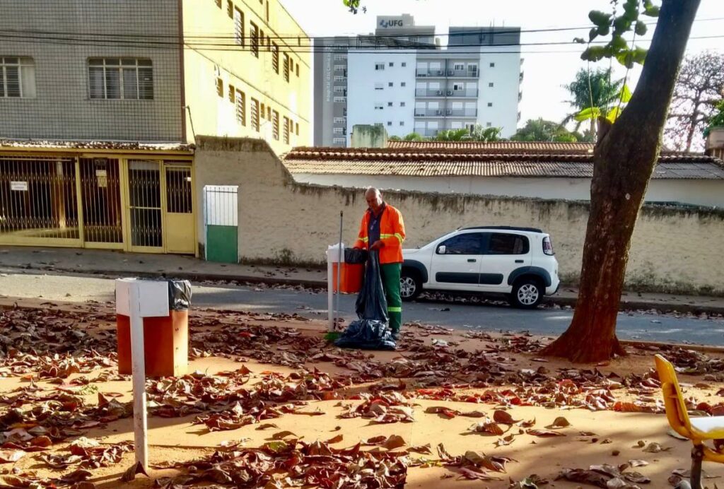 Prefeitura de Goiânia executa serviços de limpeza, roçagem e remoção, nesta segunda-feira (05/06)