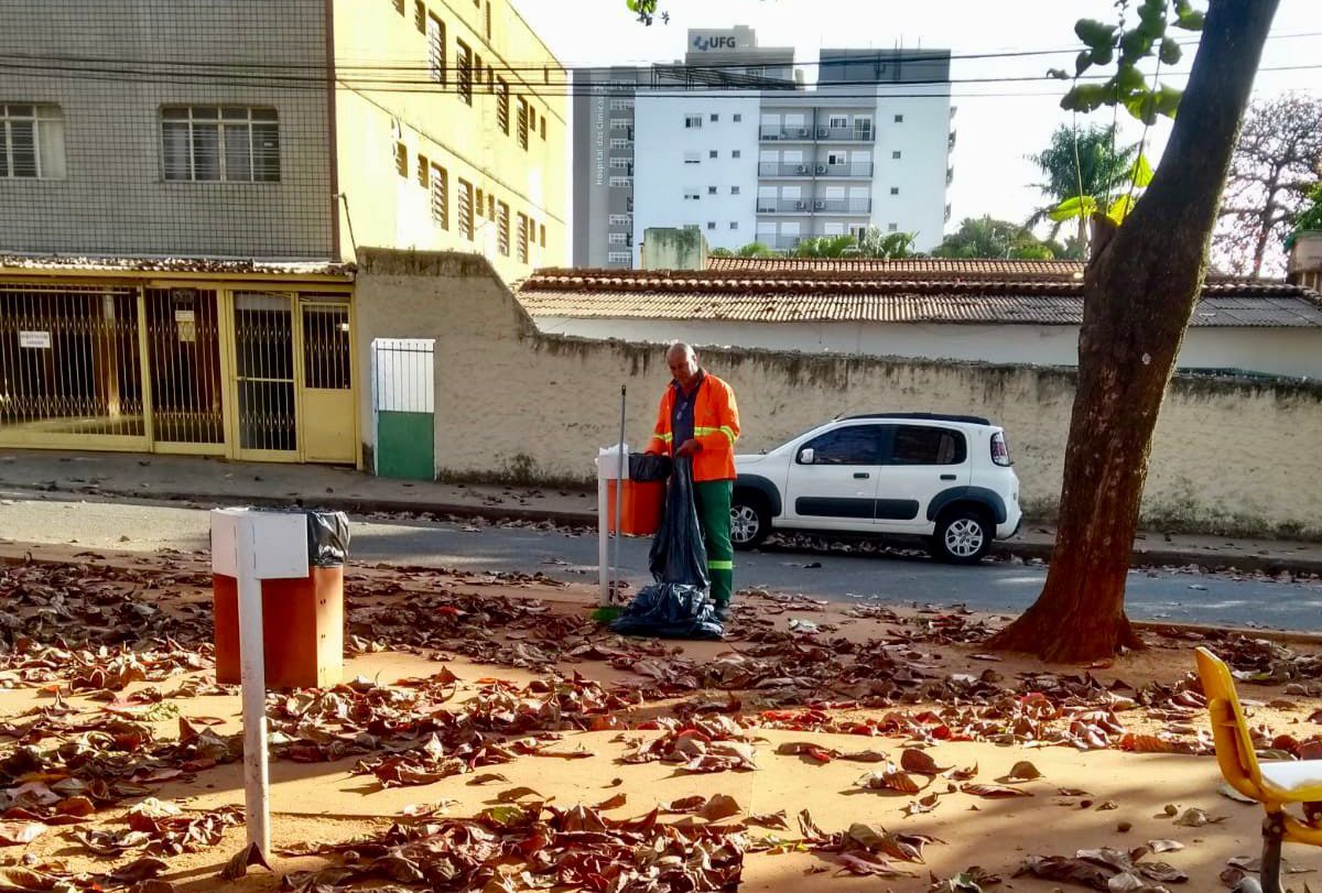 Prefeitura de Goiânia executa serviços de limpeza, roçagem e remoção, nesta segunda-feira (05/06)