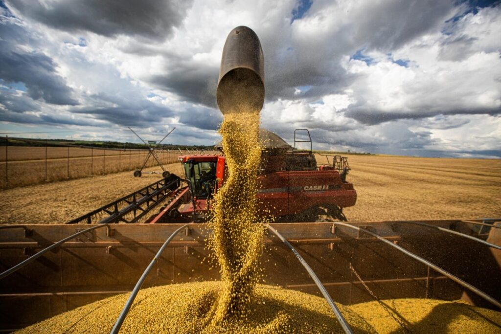 Goiás tem a segunda maior variação na produção agrícola em setembro, estima IBGE