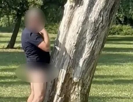 Homem é preso após ser flagrado em ato sexual com árvore na Inglaterra