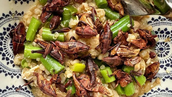 Chef faz sucesso em Nova York ao colocar insetos em pratos tradicionais