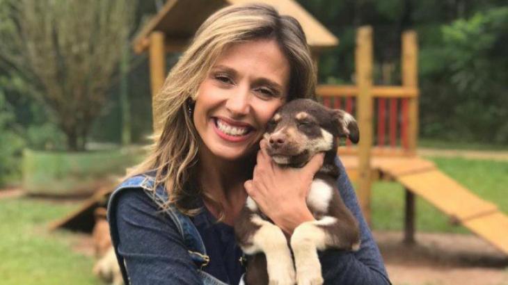 Luisa Mell é condenada a R$ 20 mil após invadir casa e ‘resgatar’ cadelas que não sofriam maus-tratos