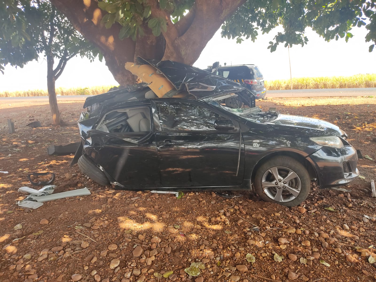 Motorista morre ao perder controle do carro e bater em árvore na BR-452