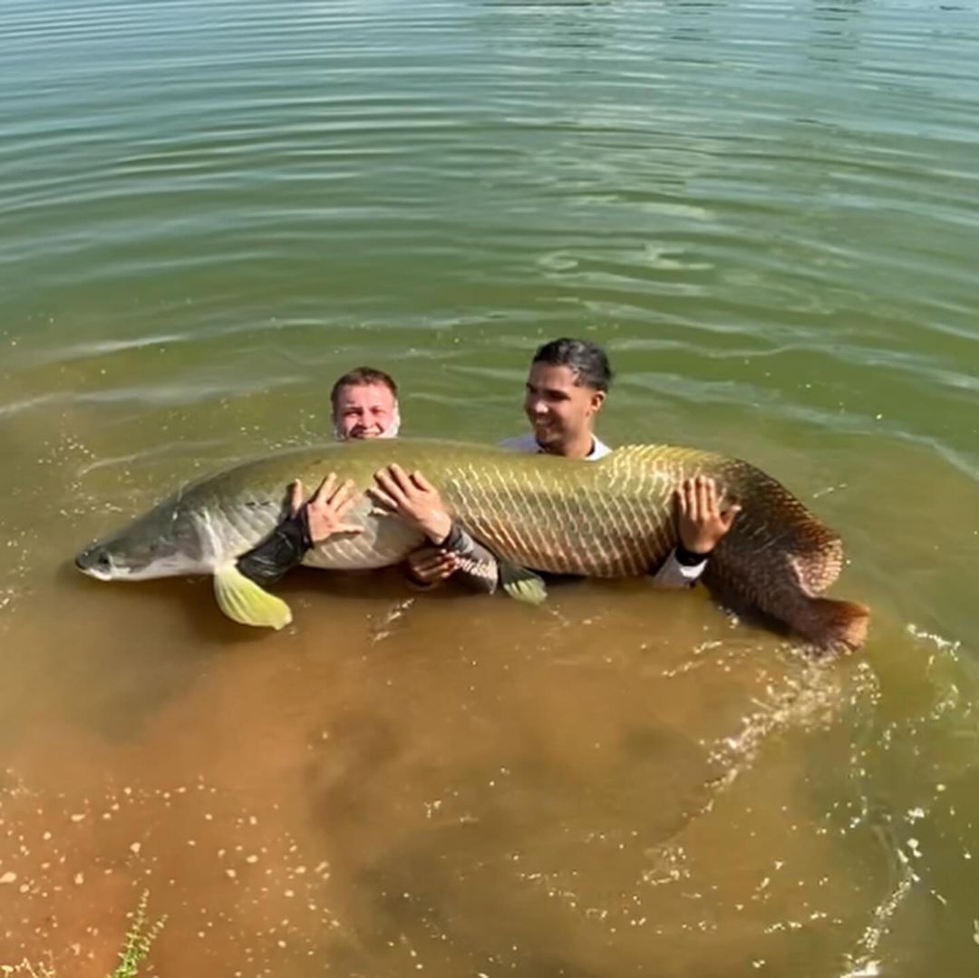 Adolescente pesca pirarucu com 60 quilos e mais de 2 metros de comprimento em Morrinhos