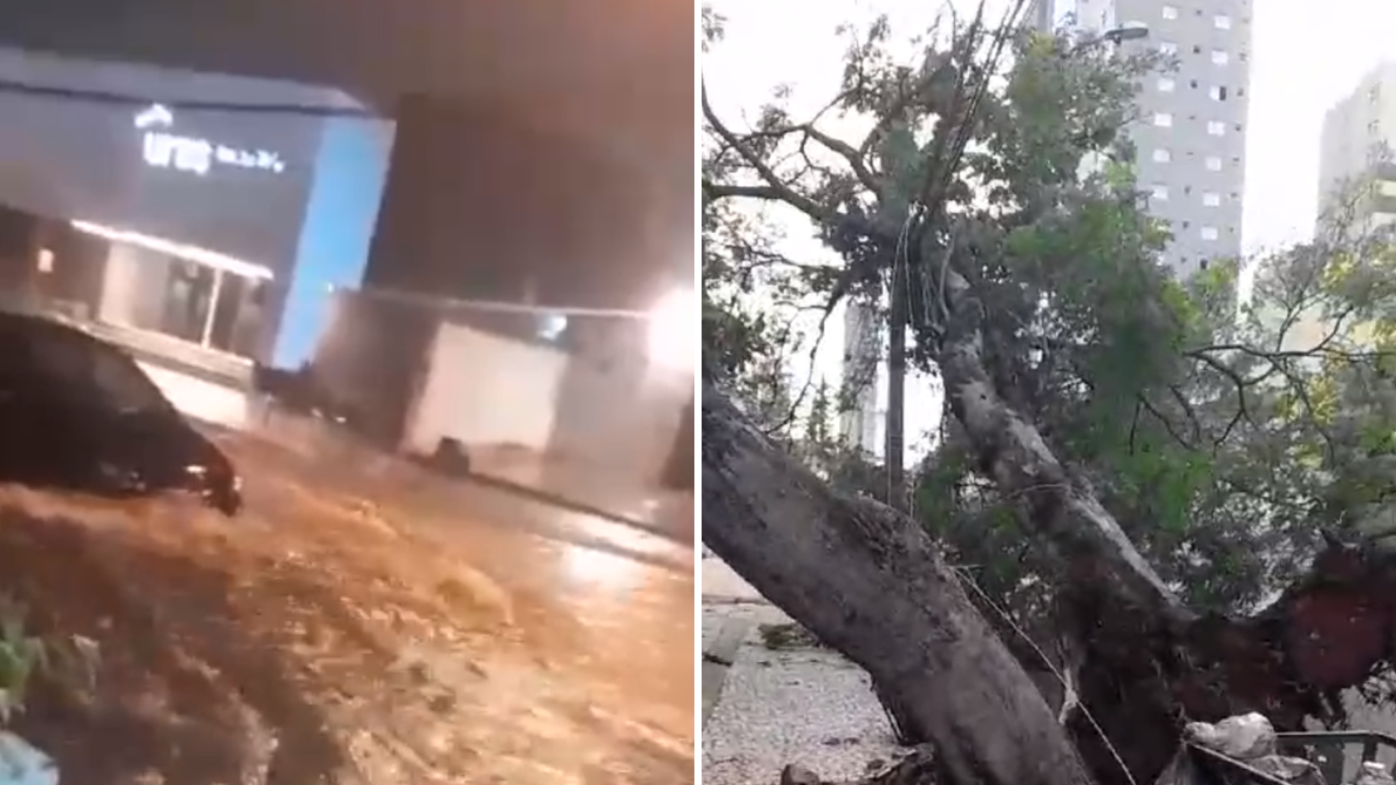 Chuva na região metropolitana de Goiânia causa queda de energia e árvores em vários lugares