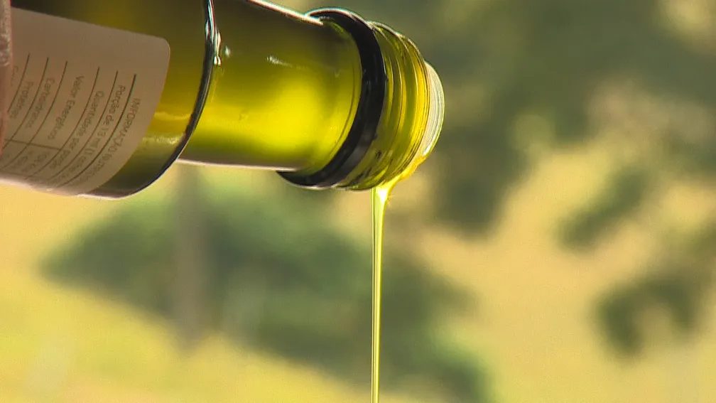 Aumento do preço do azeite tem influência da queda da safra por conta do calor, diz especialista