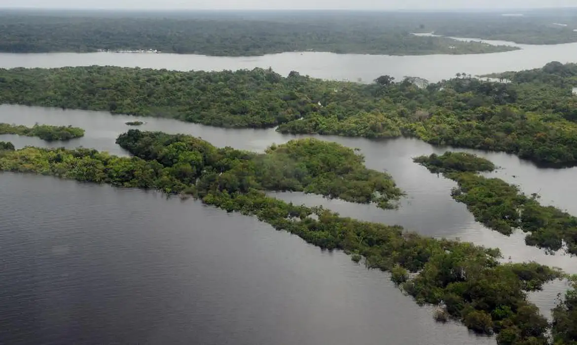 Ano de 2050 pode marcar o início de uma redução substancial na cobertura de floresta na região amazônica. (Foto: Agência Brasil)