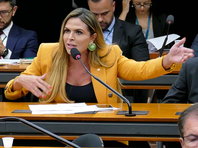 Gabinete de Silvye Alves é invadido pela segunda vez em menos de três meses (Reprodução/Câmara dos Deputados)