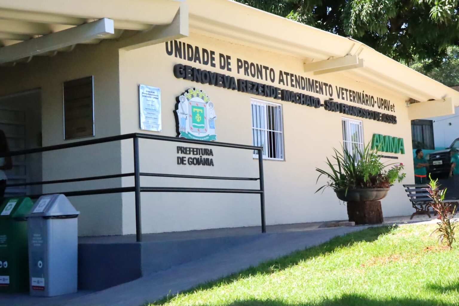 Prefeitura de Goiânia realiza 621 cirurgias de castrações em janeiro
