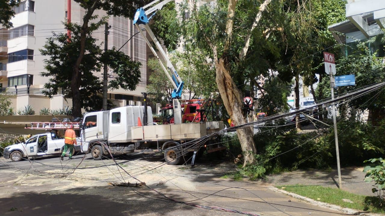 Agentes da Secretaria Municipal de Mobilidade coordenam o tráfego na Avenida Portugal, interditada devido à queda de árvore