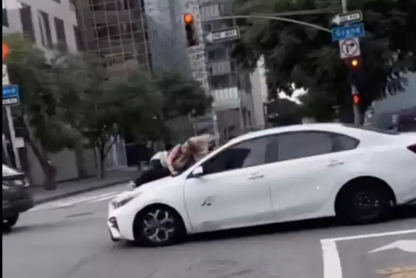 Mulher se agarra em capô de carro para evitar roubo de cão nos EUA