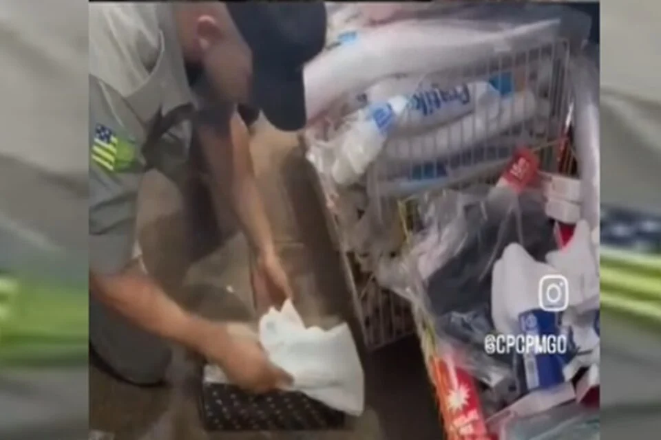 PM descobre supermercado que vendia drogas em Goiânia