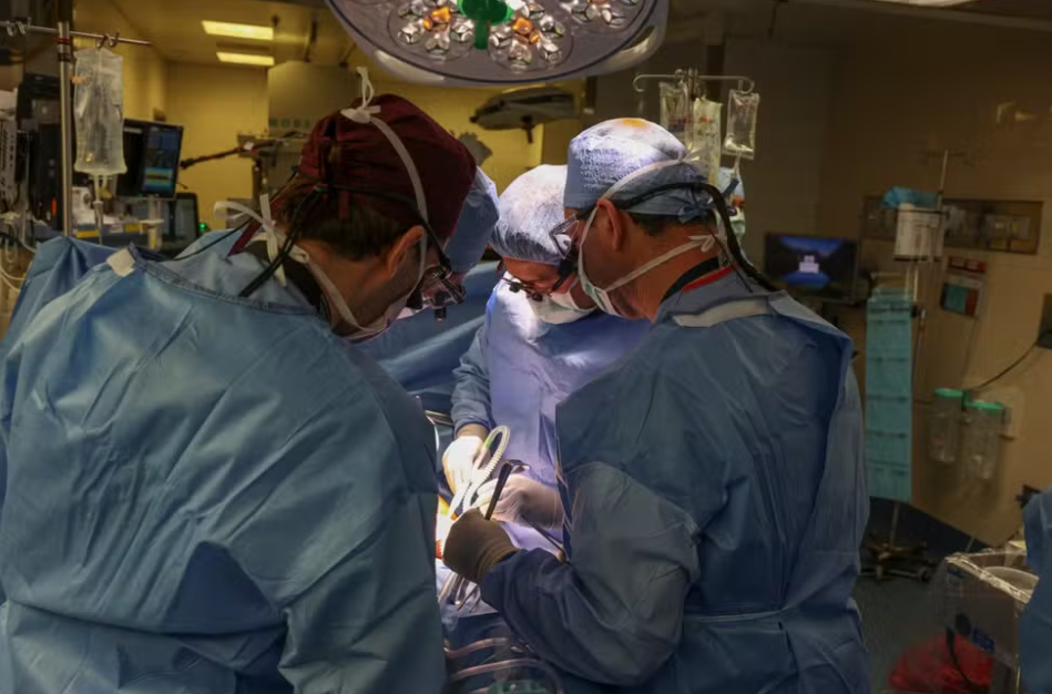 Primeiro receptor de rim de porco recebe alta após cirurgia realizada por médico brasileiro (Foto: Massachussets General Hospital)