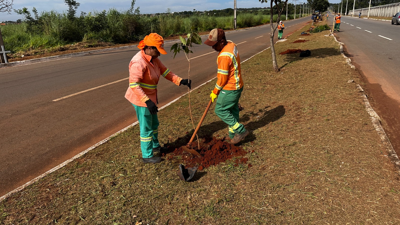 Prefeitura de Goiânia promove plantio de 1,5 mil árvores na Região Oeste durante Mutirão