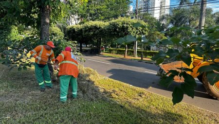 Prefeitura de Goiânia fecha semana com roçagem e rastelação em 70 bairros