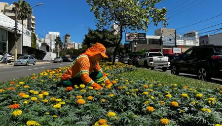 Elogiado pelos goianienses, paisagismo com flores da Avenida 136 será replicado em outras vias da capital (Fotos: Luciano Magalhães)