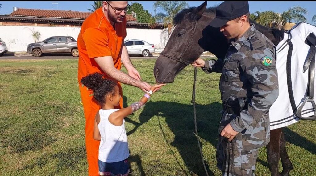 Pacientes do HMAP recebem visita de cavalo da Polícia Militar de Goiás (Foto: Assessoria de Imprensa do HMAP)